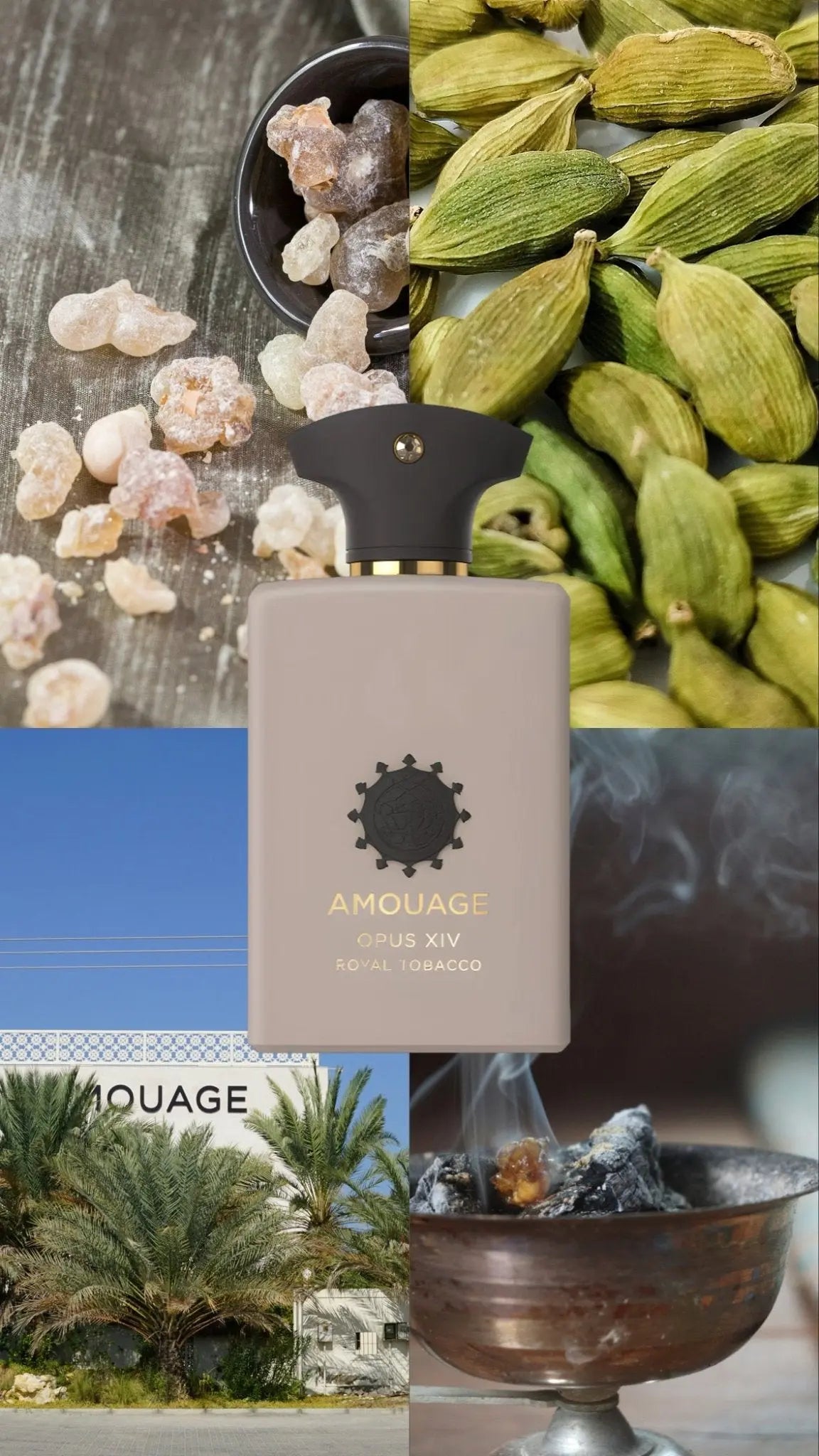 Amouage Opus XIV – Royal Tobacco - Scentora décantage de parfums et échantillons