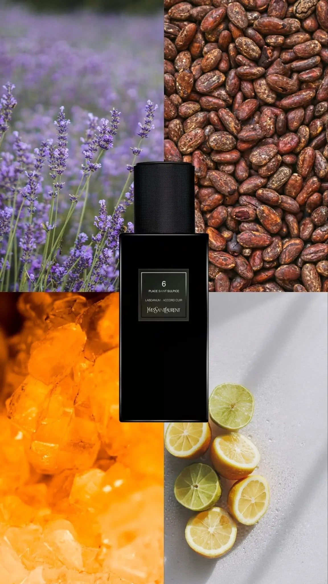 Yves - saint - laurent 6 place Saint Sulpice - Scentora décantage de parfums et échantillons