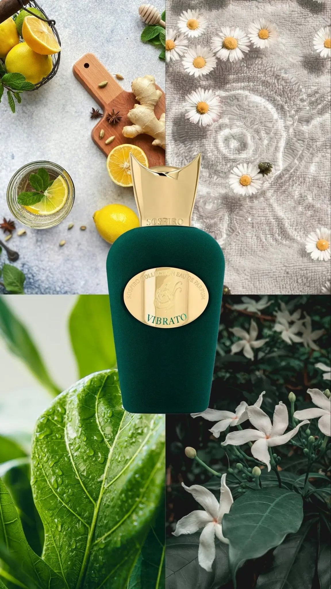 Vibrato Sospiro - Scentora décantage de parfums et échantillons